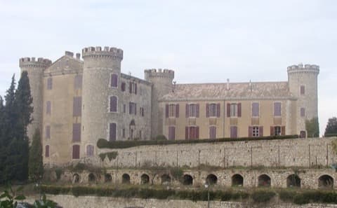 Ramoneur Saint-Martin-de-Pallières