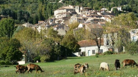 Ramoneur Seillans