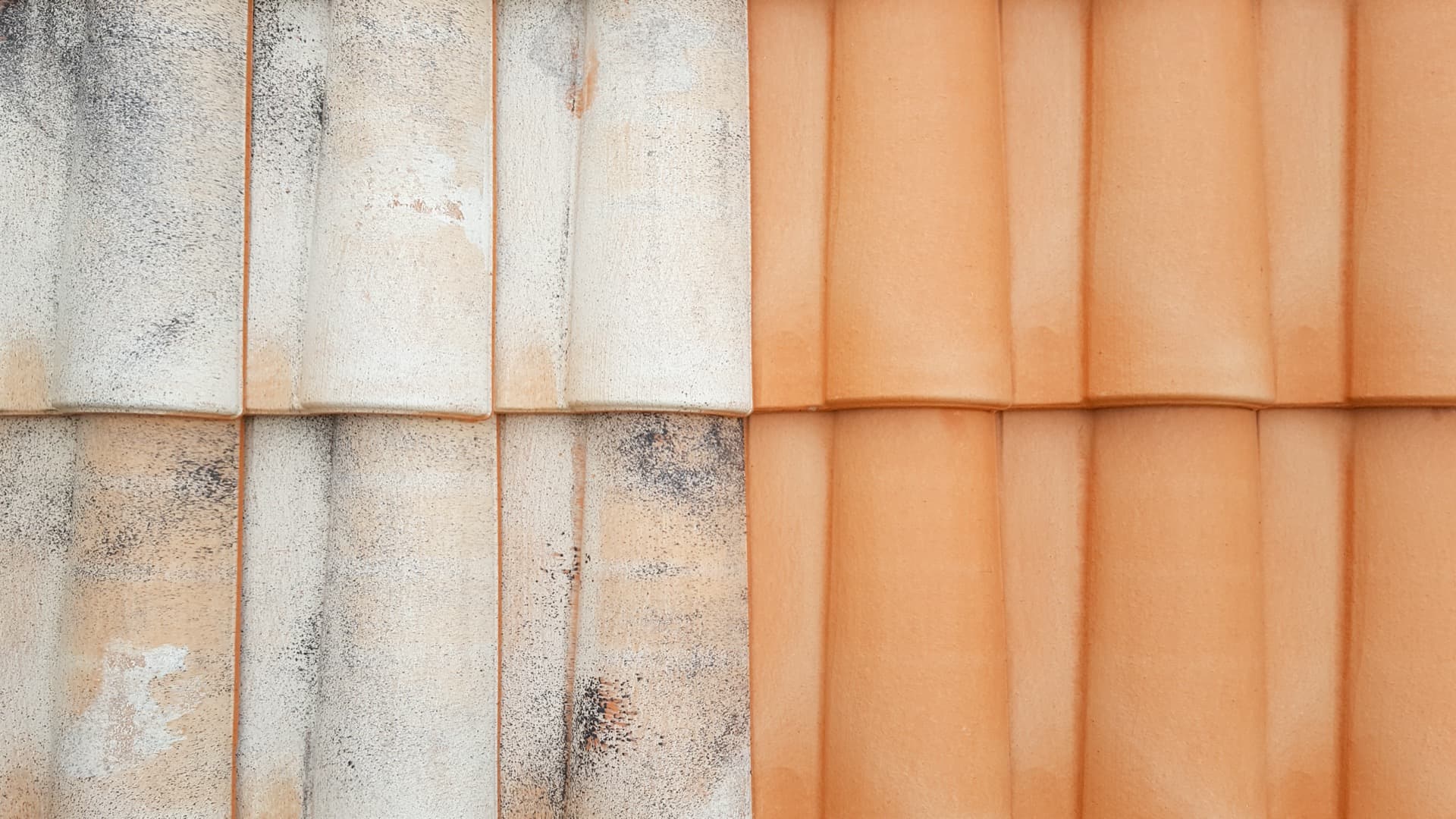 Nettoyage de toiture, Peinture & Hydrofugation de toit 83 Var
